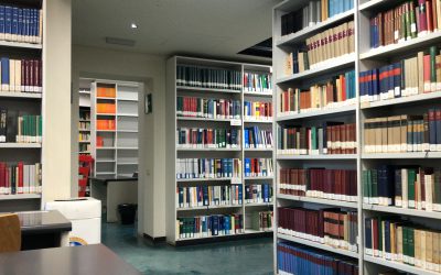 Il bibliotecario, custode moderno di un sapere antico